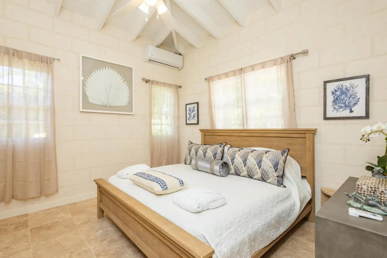 Lonetrees - Large Luxury Private Villa W Pool Saint James